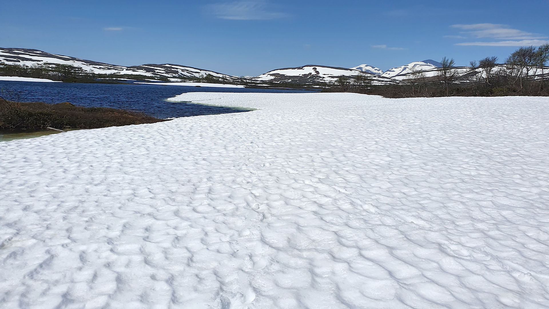 Skare med fjäll i bakgrunden