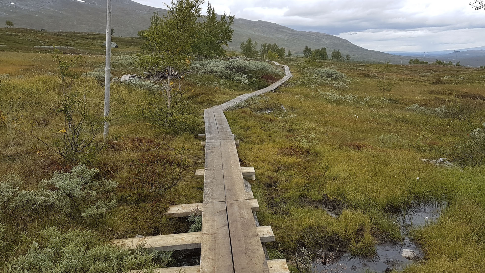 Spång på vandringsled i fjällen.