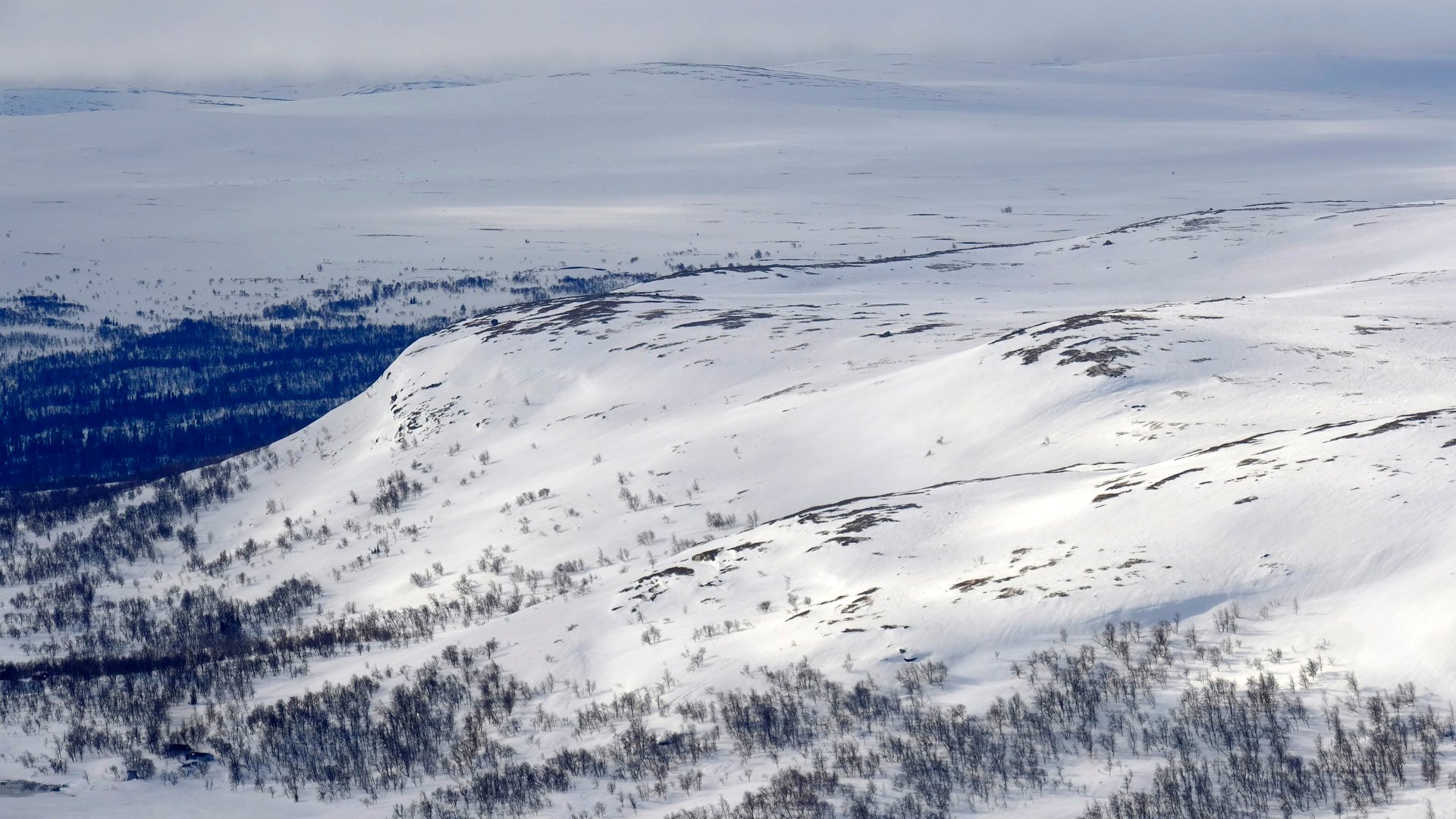 Utsikt över fjälltoppar med snö.