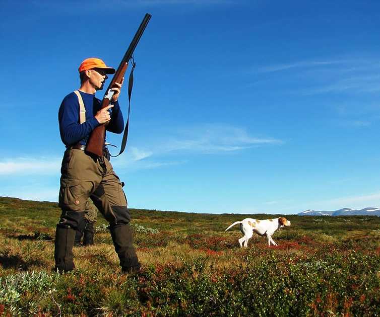 Jägare med gevär och hund i bakgrunden