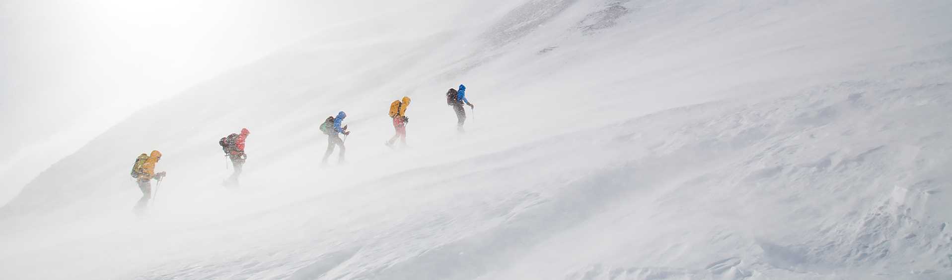 En grupp skidåkarefärdas genom en snöstorm